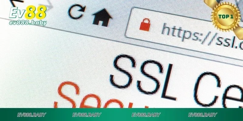 Biện pháp SSL bảo mật dữ liệu tối ưu 