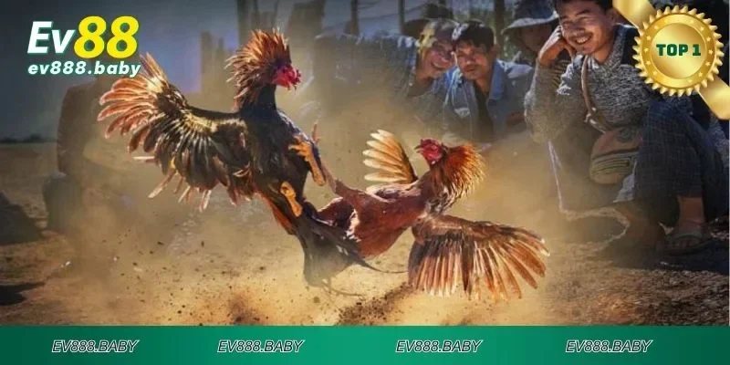 Các lưu ý cần thiết