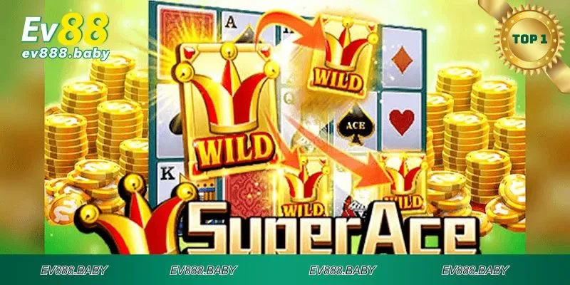 Đa dạng các thuật ngữ trong  siêu cấp ACE nên biết