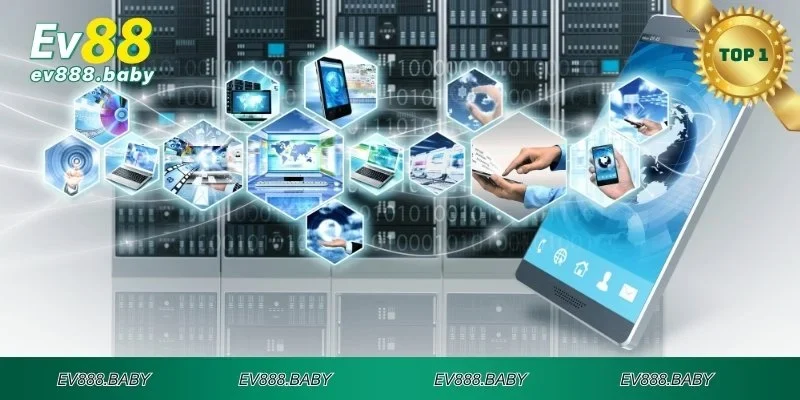 Đảm bảo cung cấp dữ liệu chính xác