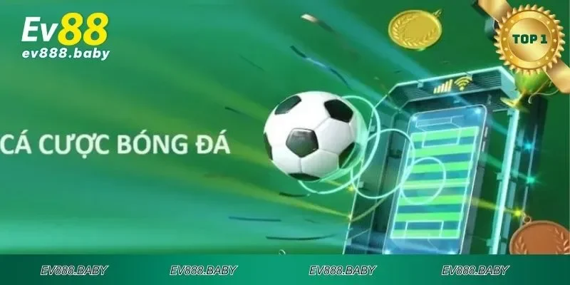 Điểm kiến thể thao Ev88 được ưu tiên lựa chọn tham gia