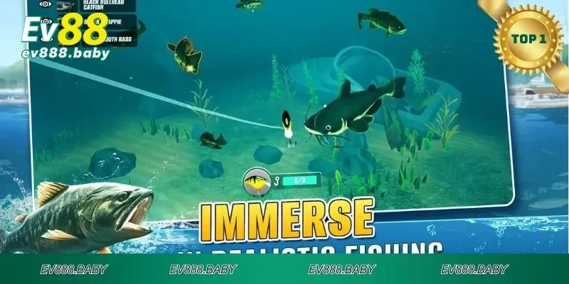 Lưu ý đặc biệt khi tham gia vua đánh cá