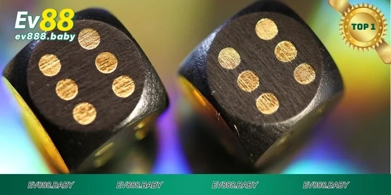 Lưu ý quan trọng khi tham gia cá cược Dice online