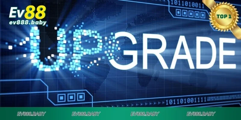 Nâng cấp không gian cá cược giá trị