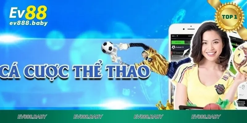 Những sản phẩm thể thao hot nhất từ sảnh cược nhà cái