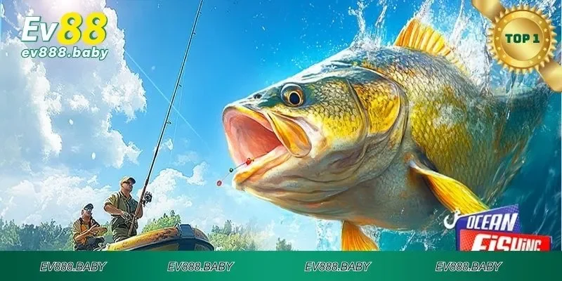 Thông tin vua đánh cá