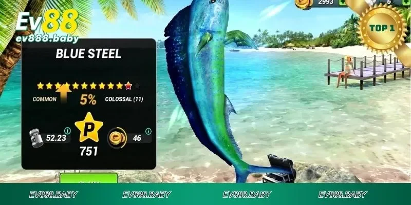 Tìm hiểu đánh cá vui vẻ