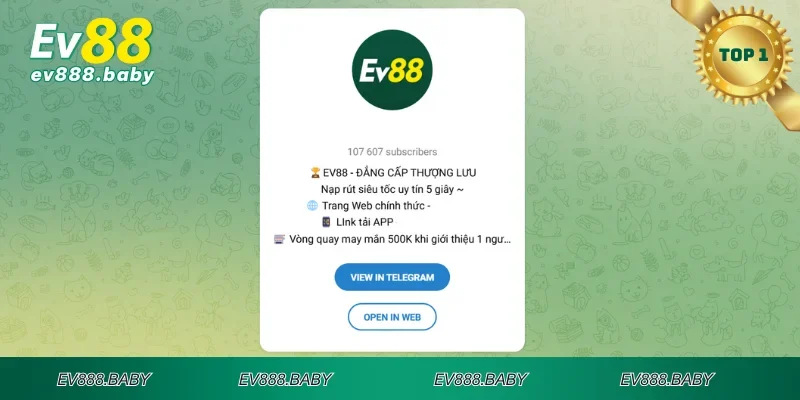 Trao đổi qua ứng dụng nhắn tin Telegram