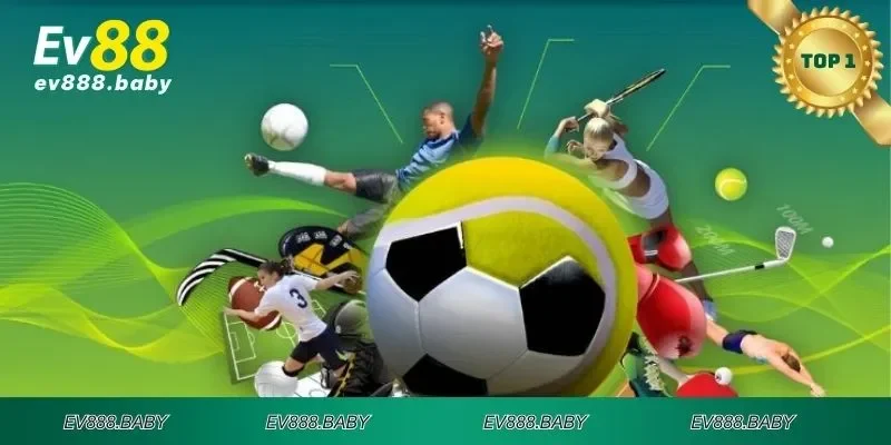 Vài nét thông tin giới thiệu về sảnh cá cược thể thao Ev88